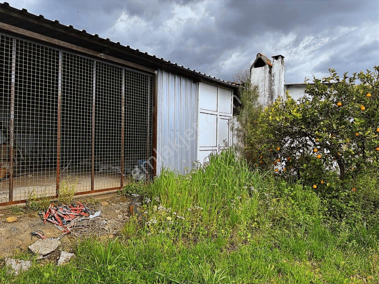 Muğla Köyceğiz Yeşilköy'de Satılık Tarla İçinde Kargir Ev - Görsel 21