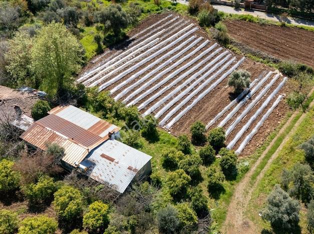 Muğla Köyceğiz Yeşi̇lköy'de Satilik Tarla İçinde Kargi̇r Ev - Görsel 15