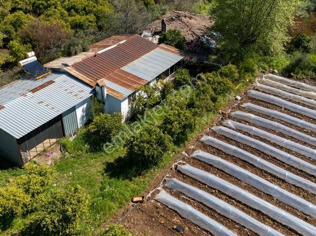 Muğla Köyceğiz Yeşi̇lköy'de Satilik Tarla İçinde Kargi̇r Ev - Görsel 12