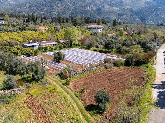Muğla Köyceğiz Yeşi̇lköy'de Satilik Tarla İçinde Kargi̇r Ev - Görsel 16