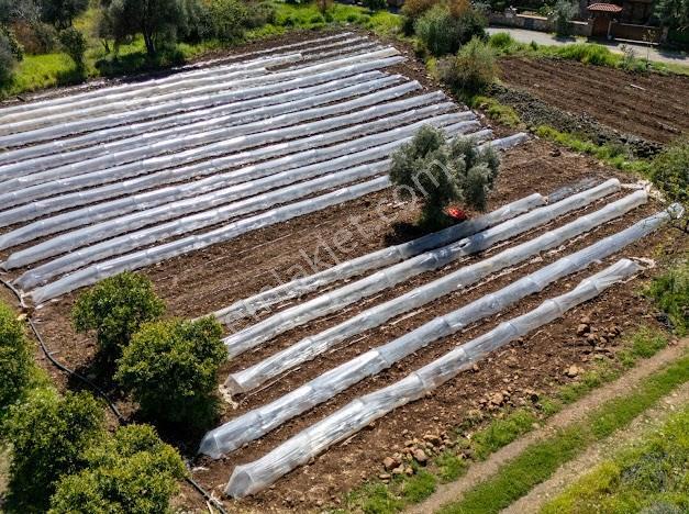 Muğla Köyceğiz Yeşi̇lköy'de Satilik Tarla İçinde Kargi̇r Ev - Görsel 14
