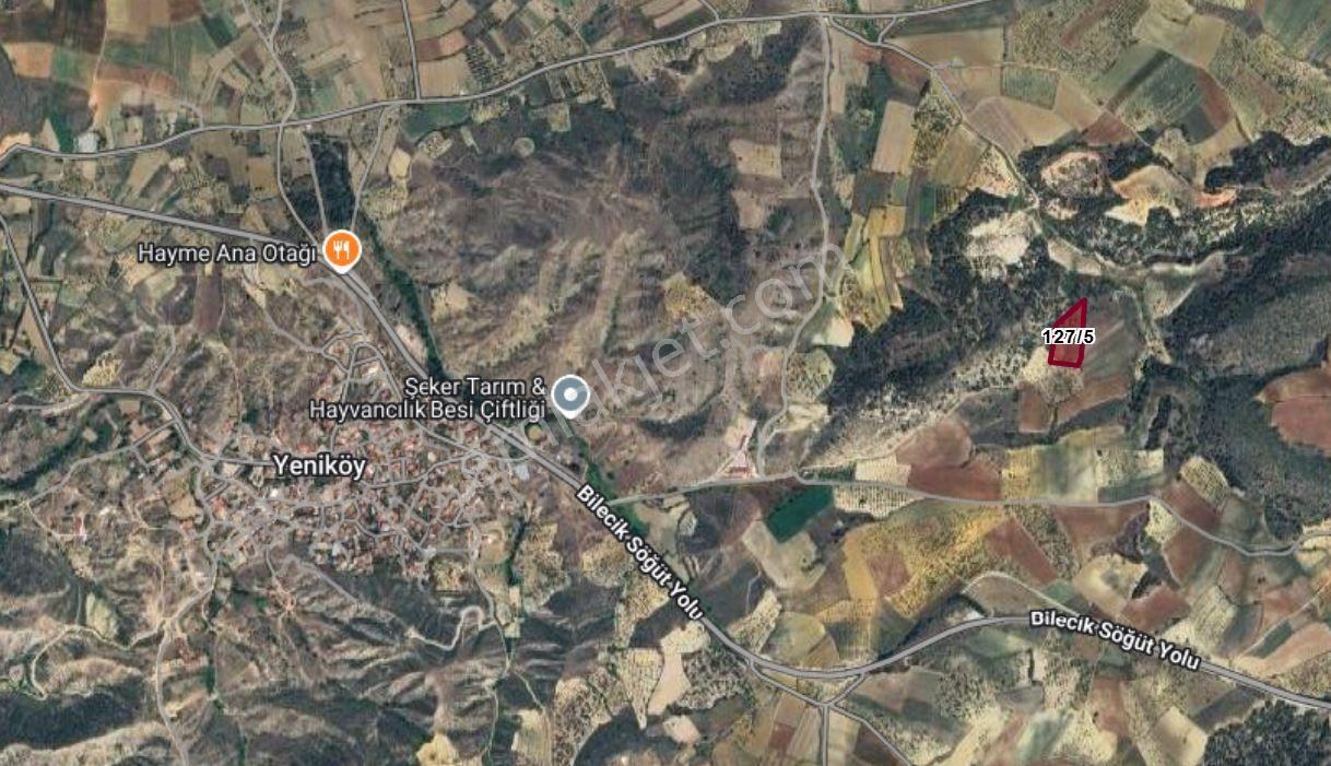 Bilecik Merkez Yeniköy 7.466 M2 Satılık Tarla - Görsel 2