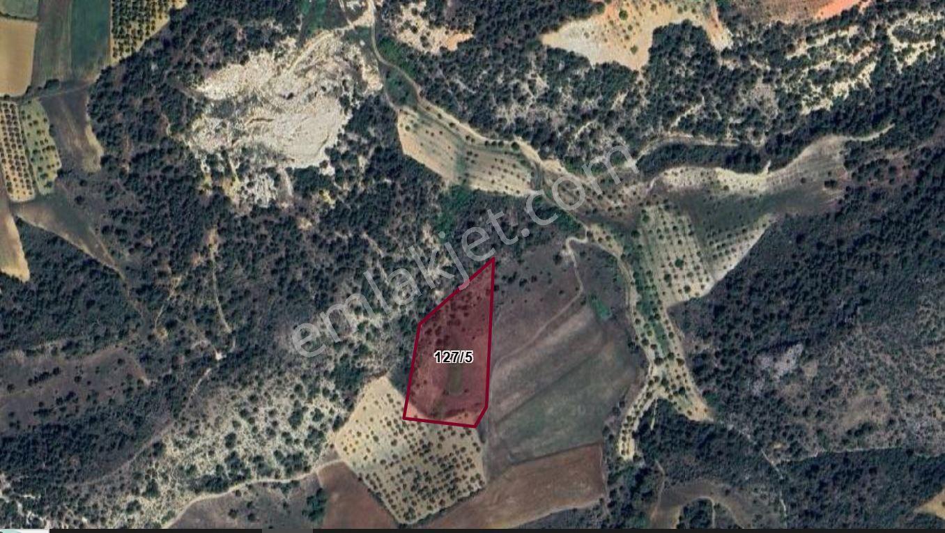 Bilecik Merkez Yeniköy 1.465 M2 Satılık Bağ-bahçe - Görsel 4