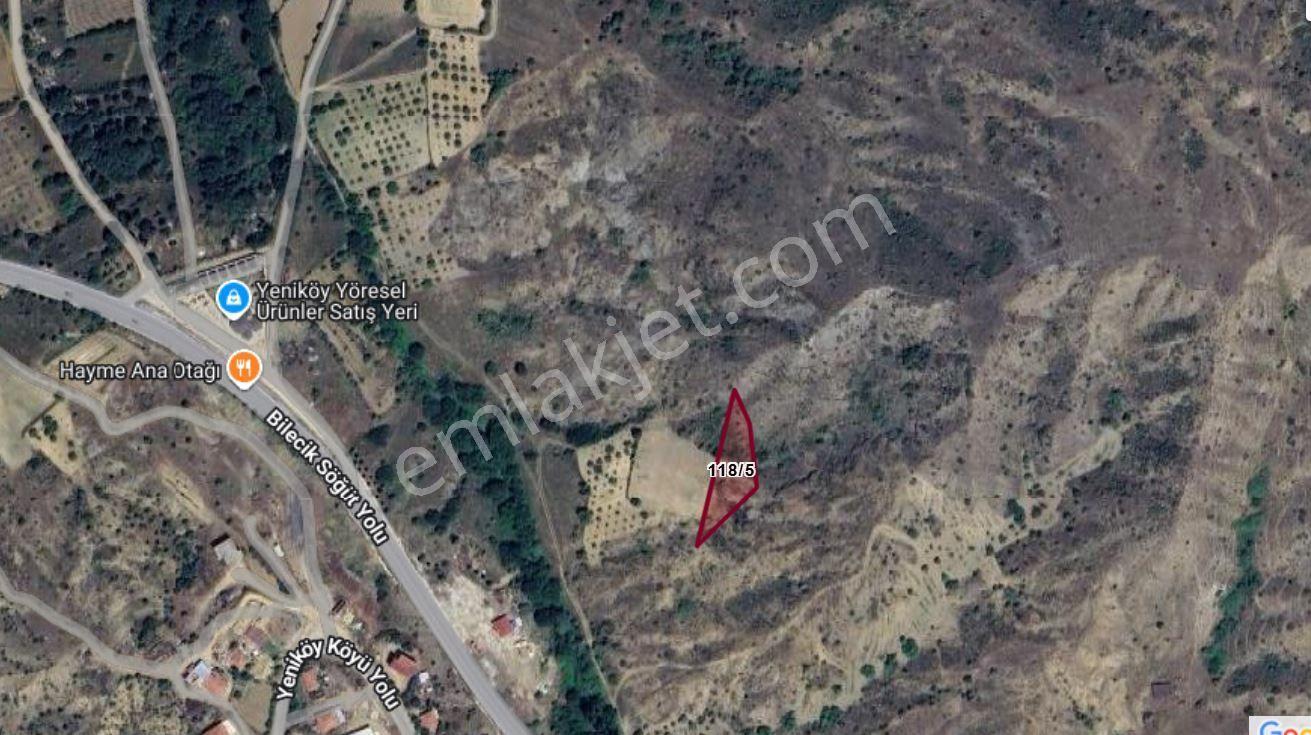 Bilecik Merkez Yeniköy 1.465 M2 Satılık Bağ-bahçe