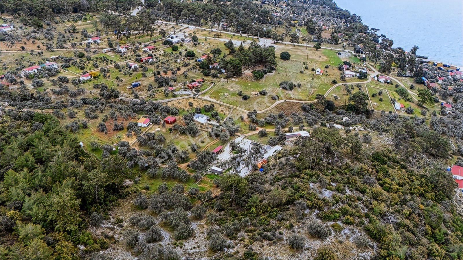 Menteşe Akbük'te Satılık 547m² Tarla - Görsel 5