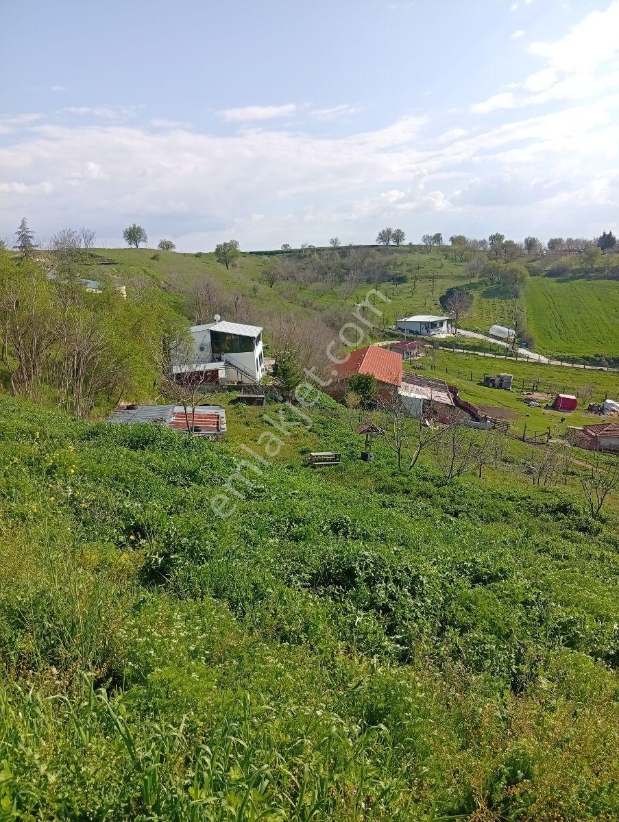 Yatırımın Ta Kendisi 1/1000 İmar İki Parsel Yanyana 2700 Metre - Görsel 26
