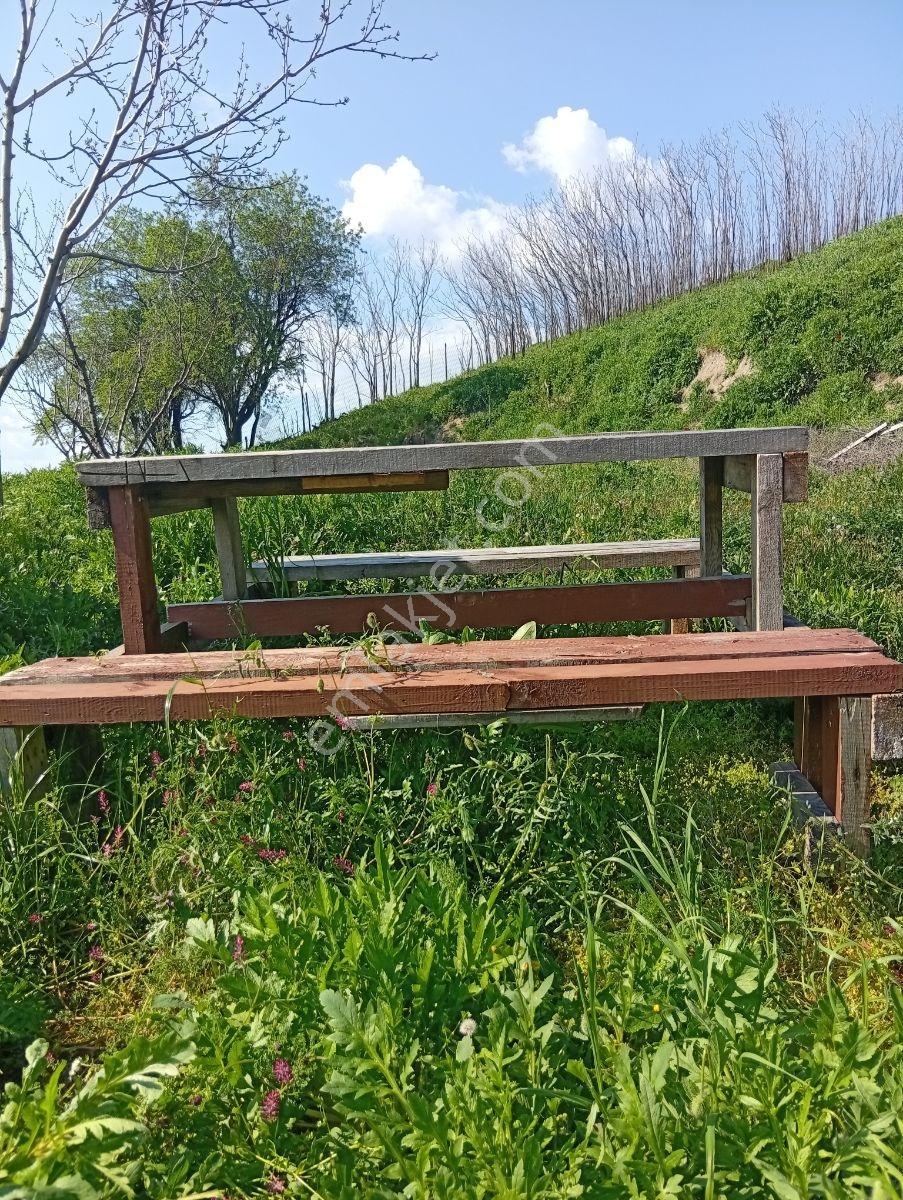 Yatırımın Ta Kendisi 1/1000 İmar İki Parsel Yanyana 2700 Metre - Görsel 19
