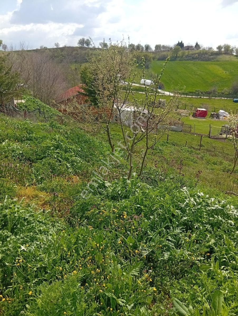 Yatırımın Ta Kendisi 1/1000 İmar İki Parsel Yanyana 2700 Metre - Görsel 31