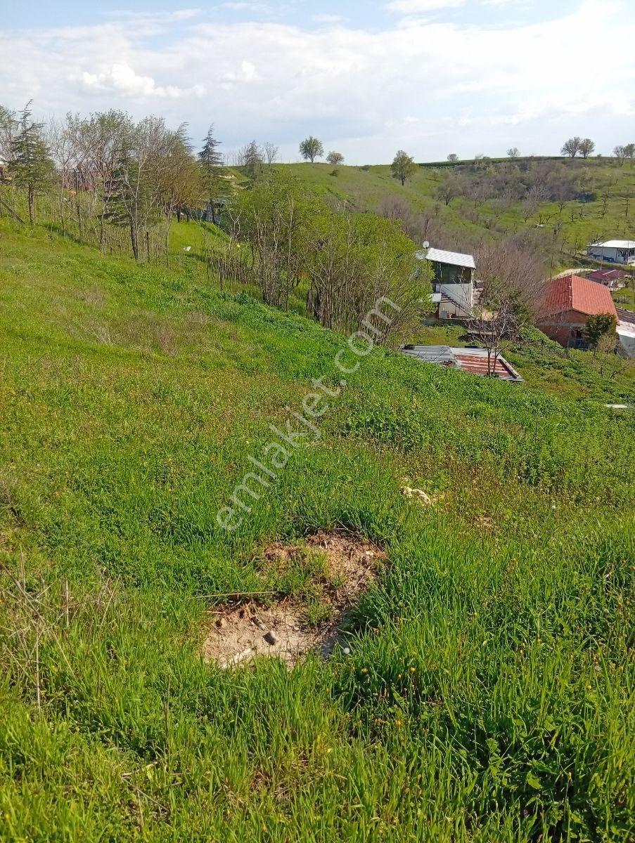 Yatırımın Ta Kendisi 1/1000 İmar İki Parsel Yanyana 2700 Metre - Görsel 24