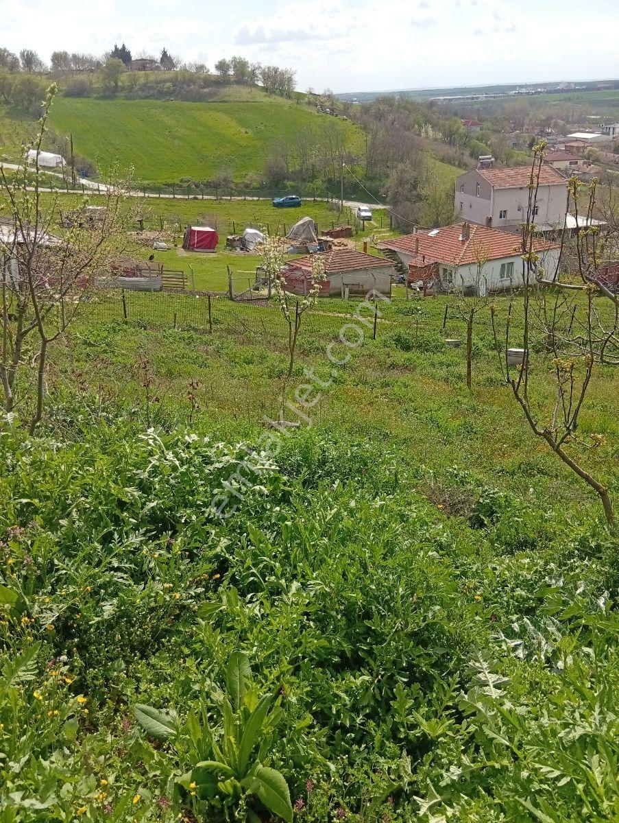 Yatırımın Ta Kendisi 1/1000 İmar İki Parsel Yanyana 2700 Metre - Görsel 27