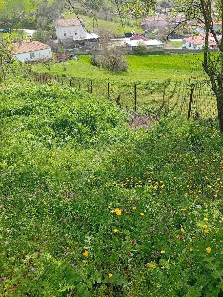 Yatırımın Ta Kendisi 1/1000 İmar İki Parsel Yanyana 2700 Metre - Görsel 36