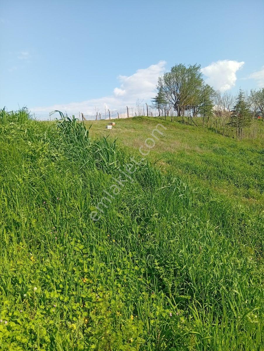 Yatırımın Ta Kendisi 1/1000 İmar İki Parsel Yanyana 2700 Metre - Görsel 16
