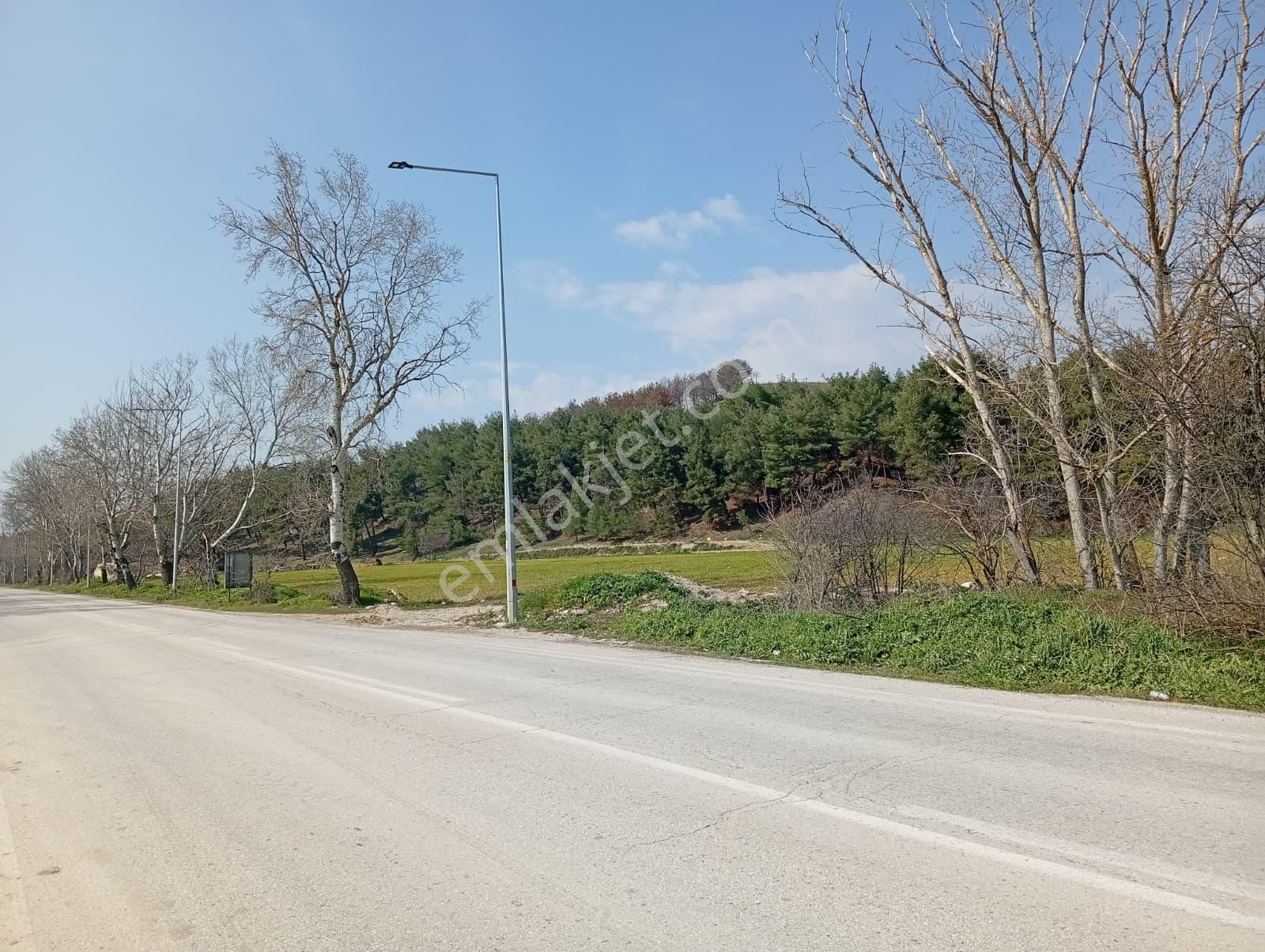Edirne Kapıkule Yoluna Yakın Yola Cephe Satılık Fırsat Bahçe - Görsel 21
