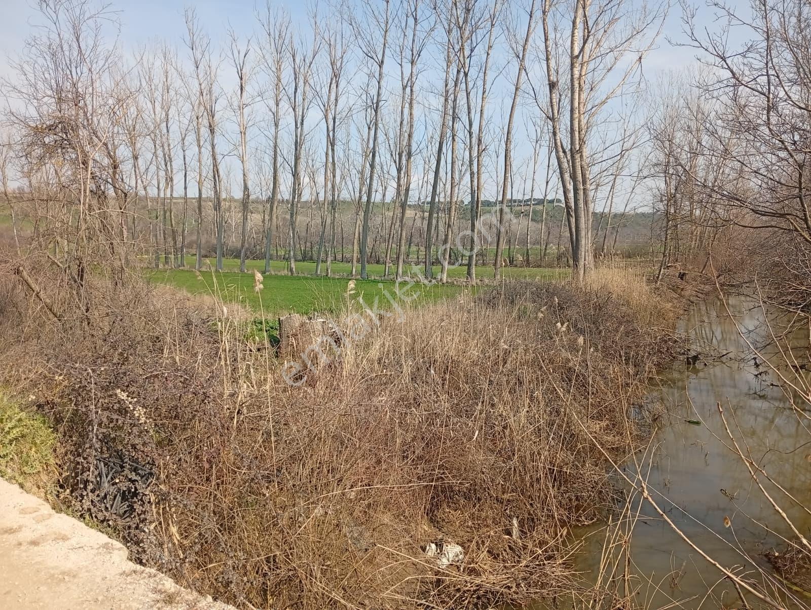 Edirne Kapıkule Yoluna Yakın Yola Cephe Satılık Fırsat Bahçe - Görsel 25