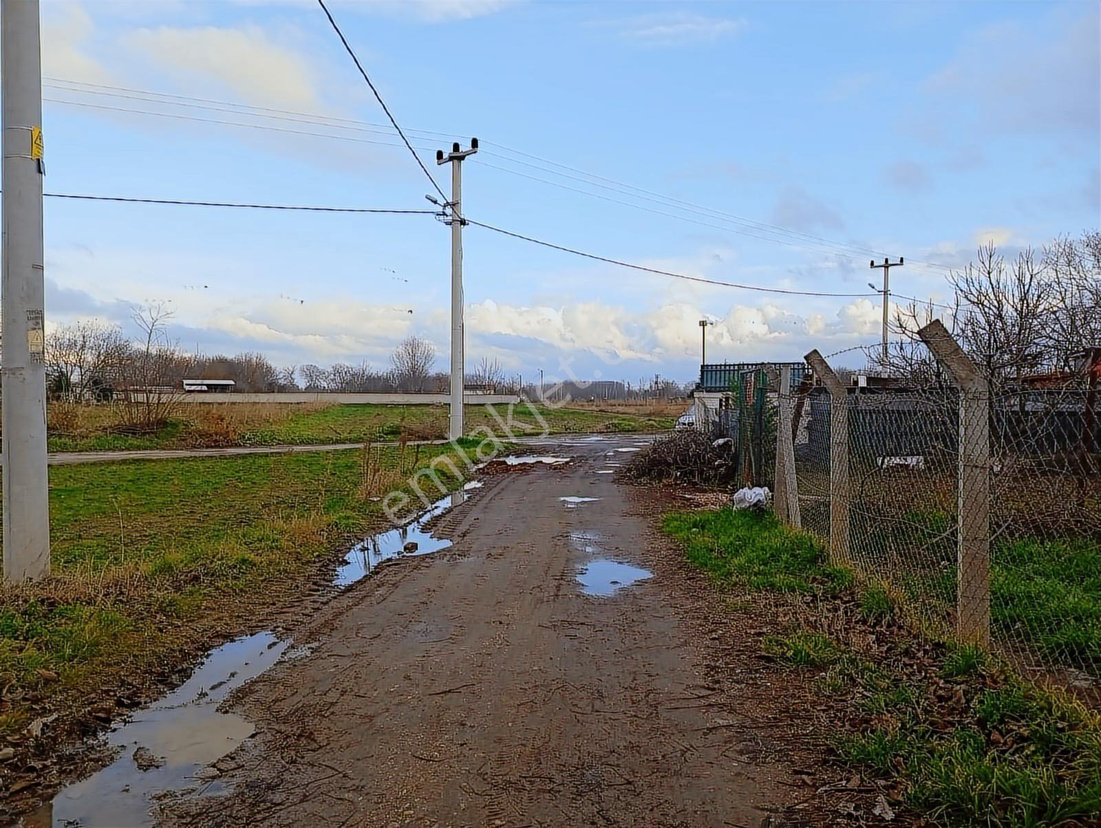 Edirne Karaağaç Mahallesinde Satılık Ceviz Bahçesi - Görsel 23