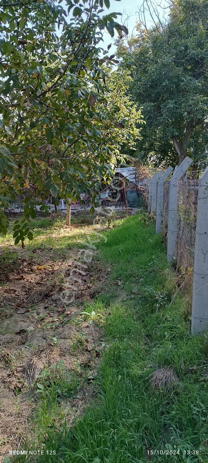 Edirne Karaağaç Mahallesinde Satılık Ceviz Bahçesi - Görsel 19
