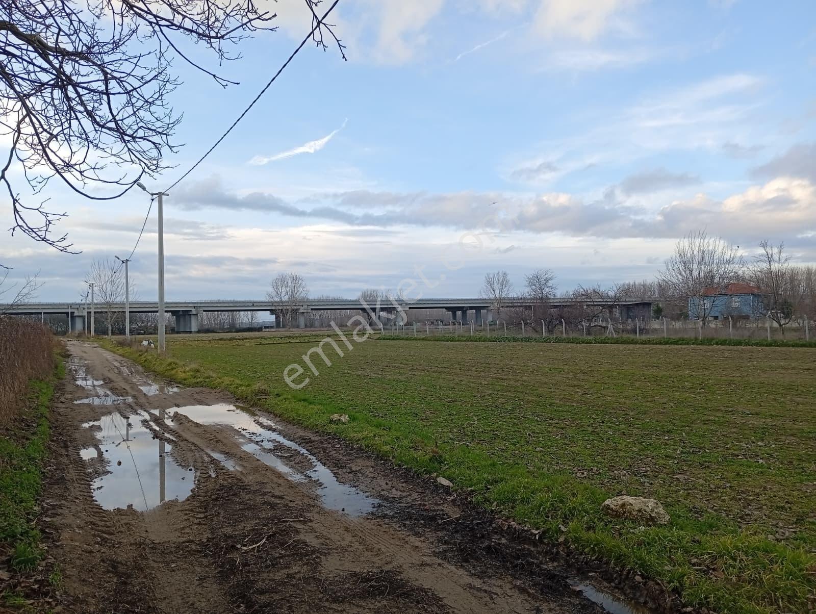 Edirne Karaağaç Mahallesinde Satılık Ceviz Bahçesi - Görsel 5