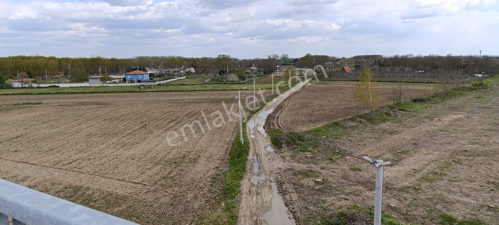 Edirne Karaağaç Mahallesinde Satılık Ceviz Bahçesi - Görsel 10