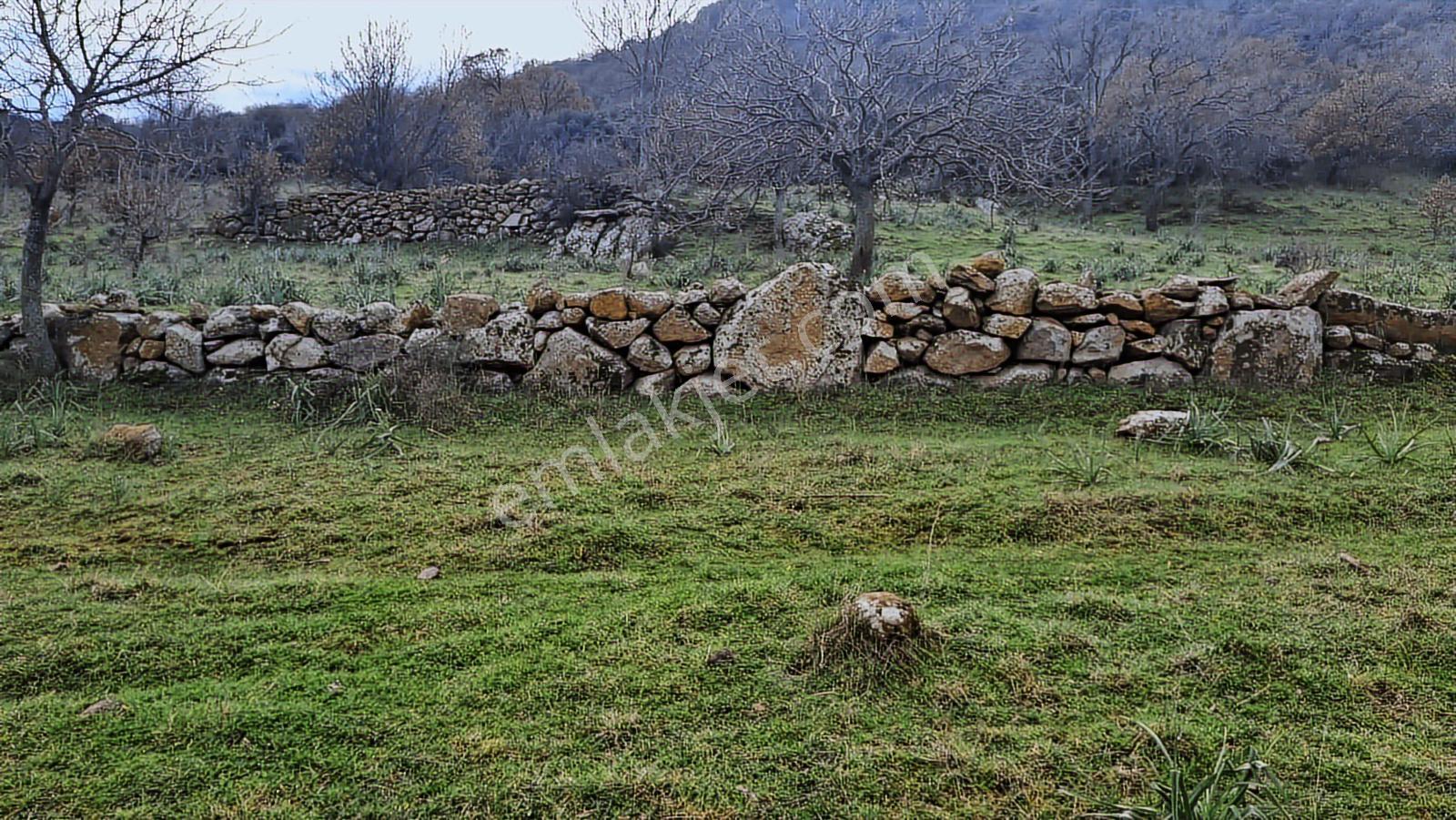 İzmir Dikili Demirtaş Emiralem 17162 M2 Yola Cephe Satılık Tarla - Görsel 2