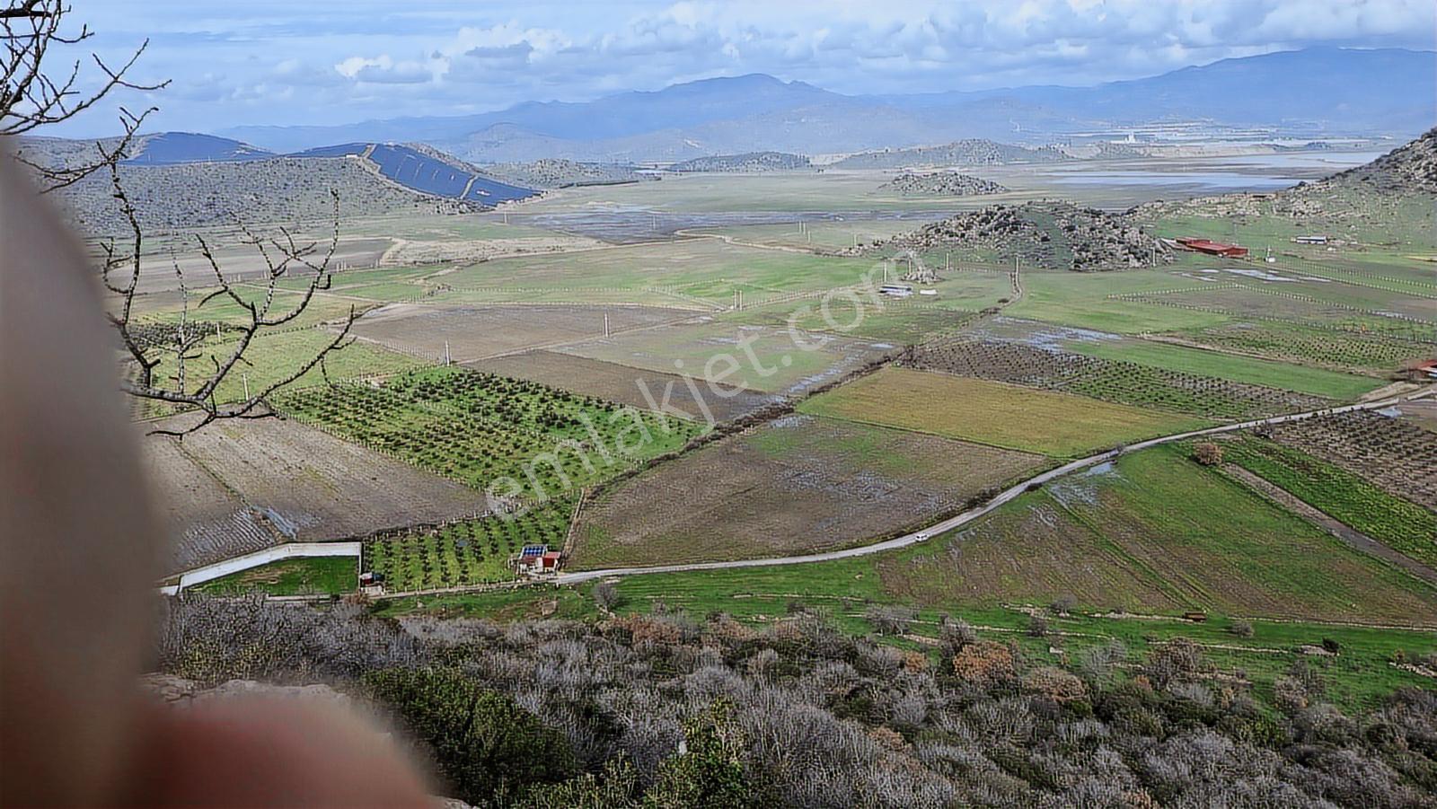 İzmir Dikili Demirtaş Emiralem 17162 M2 Yola Cephe Satılık Tarla