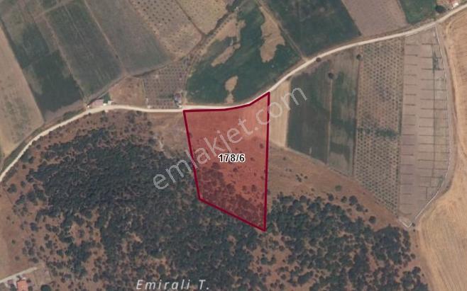 Dikili Demirtaş'ta 13 828 M² Yola Cephe Satılık Tarla