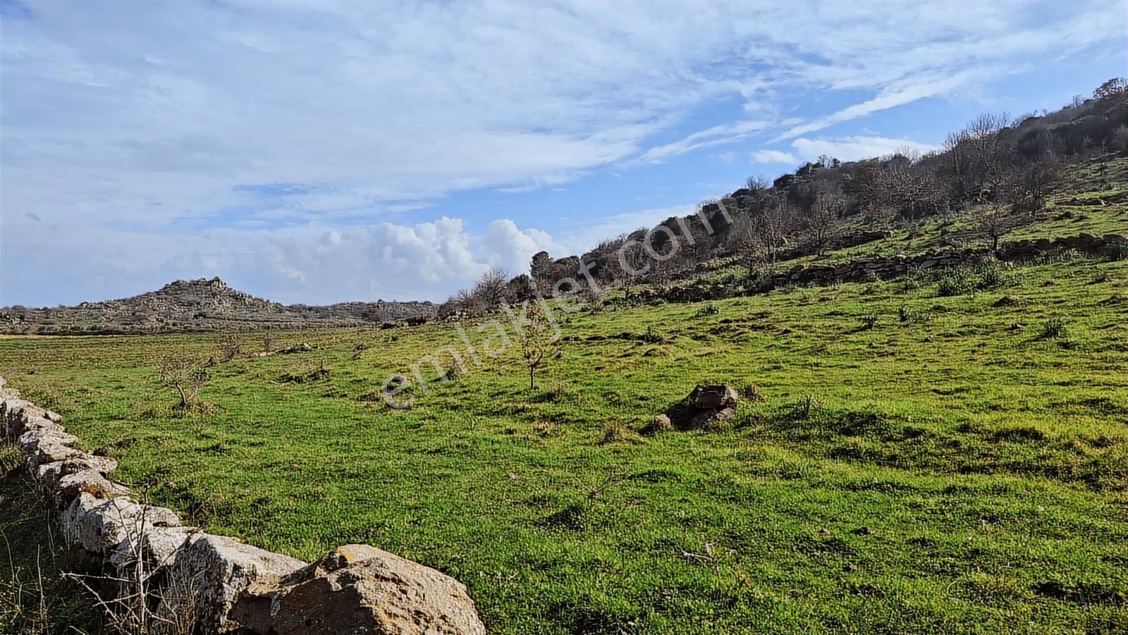 Dikili Demirtaş'ta 13 828 M² Yola Cephe Satılık Tarla - Görsel 5