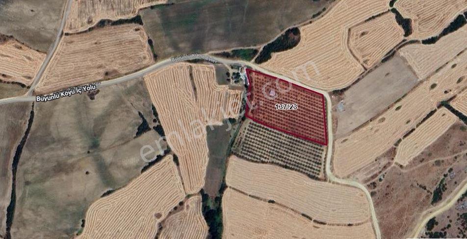 Edirne Lalapaşa Büyünlü Köyünde Satılık Badem Dikili Bahçe - Görsel 19