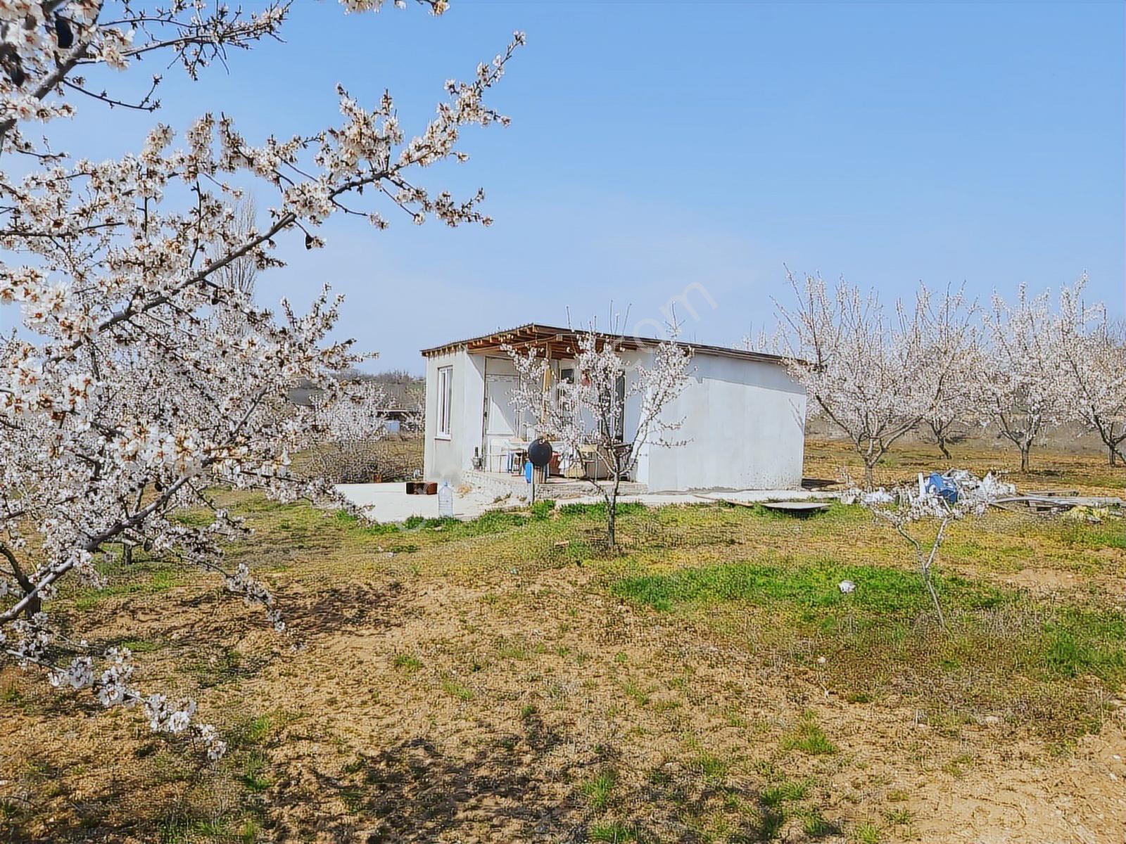 Edirne Lalapaşa Büyünlü Köyünde Satılık Badem Dikili Bahçe - Görsel 14