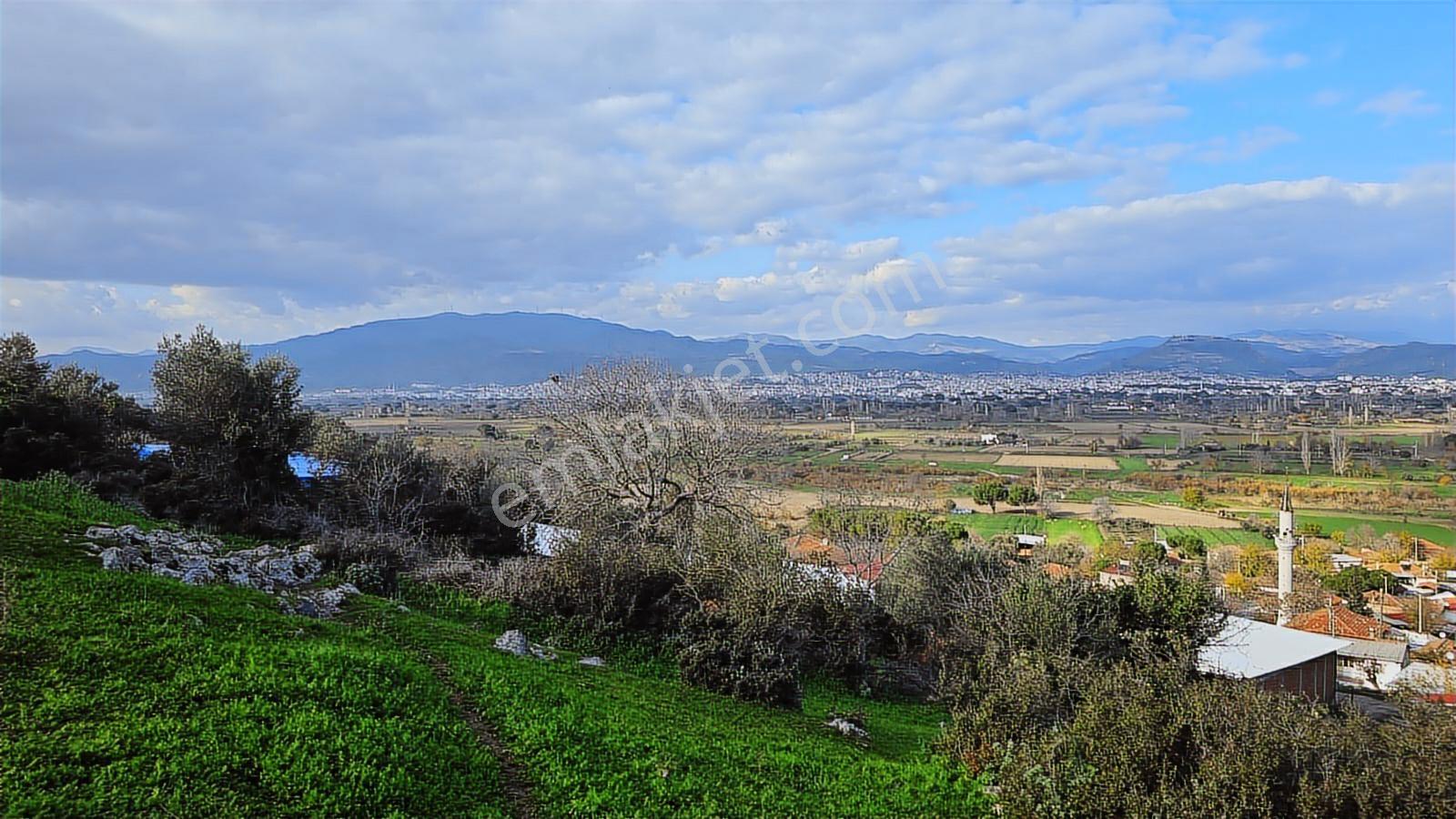 Bergama Sindel Mahallesinde Satılık Zeytinlik - Görsel 33