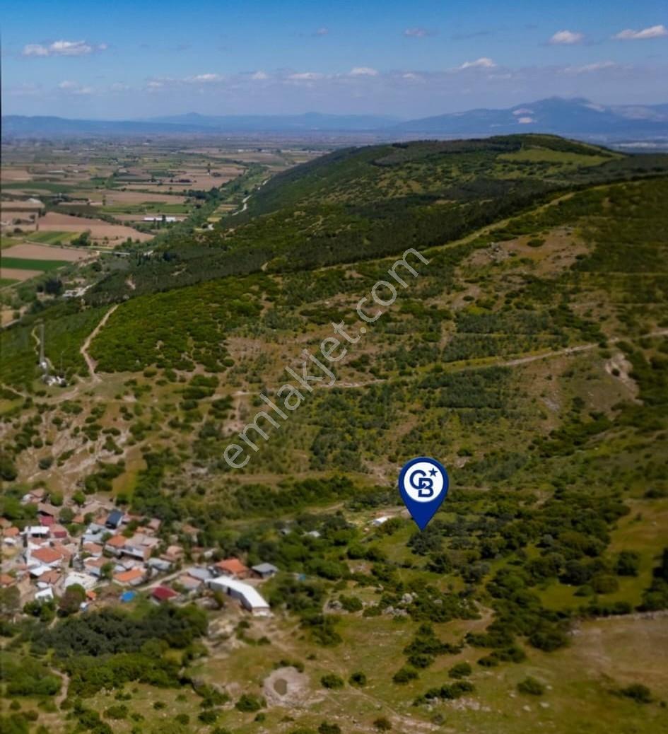 Bergama Sindel Mahallesinde Satılık Zeytinlik - Görsel 6