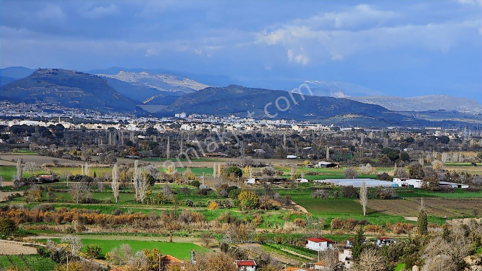 Bergama Sindel Mahallesinde Satılık Zeytinlik - Görsel 17