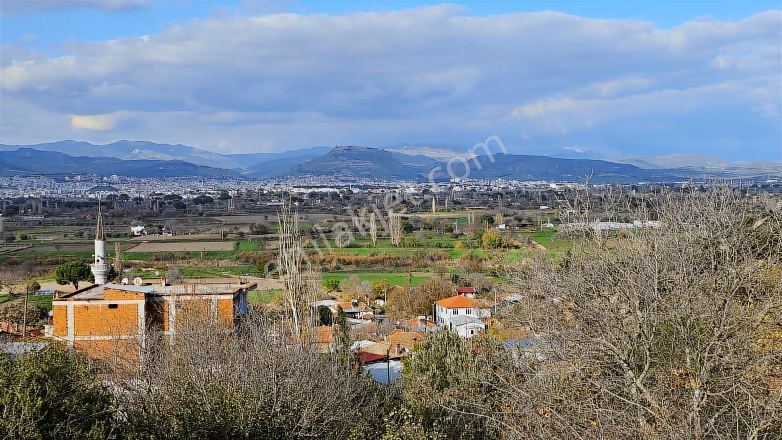 Bergama Sindel Mahallesinde Satılık Zeytinlik - Görsel 10