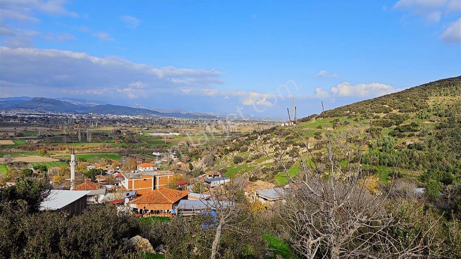 Bergama Sindel Mahallesinde Satılık Zeytinlik - Görsel 7
