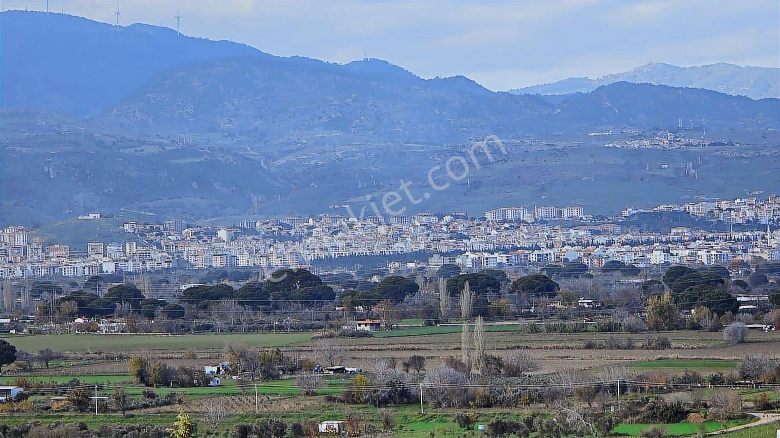 Bergama Sindel Mahallesinde Satılık Zeytinlik - Görsel 25