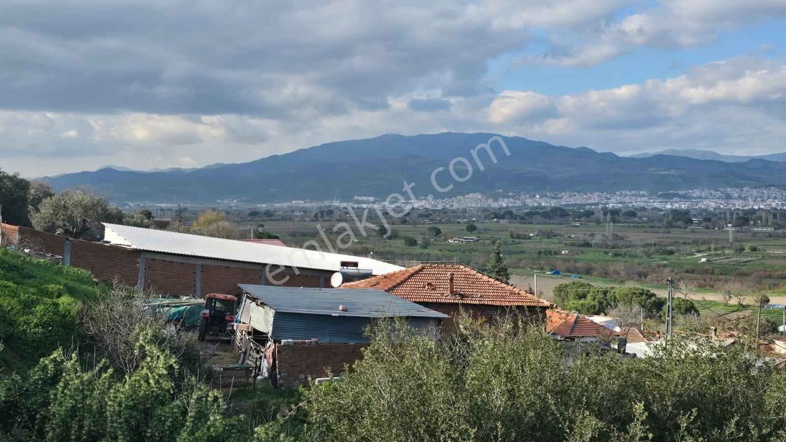 Bergama Sindel Mahallesinde Satılık Zeytinlik - Görsel 31