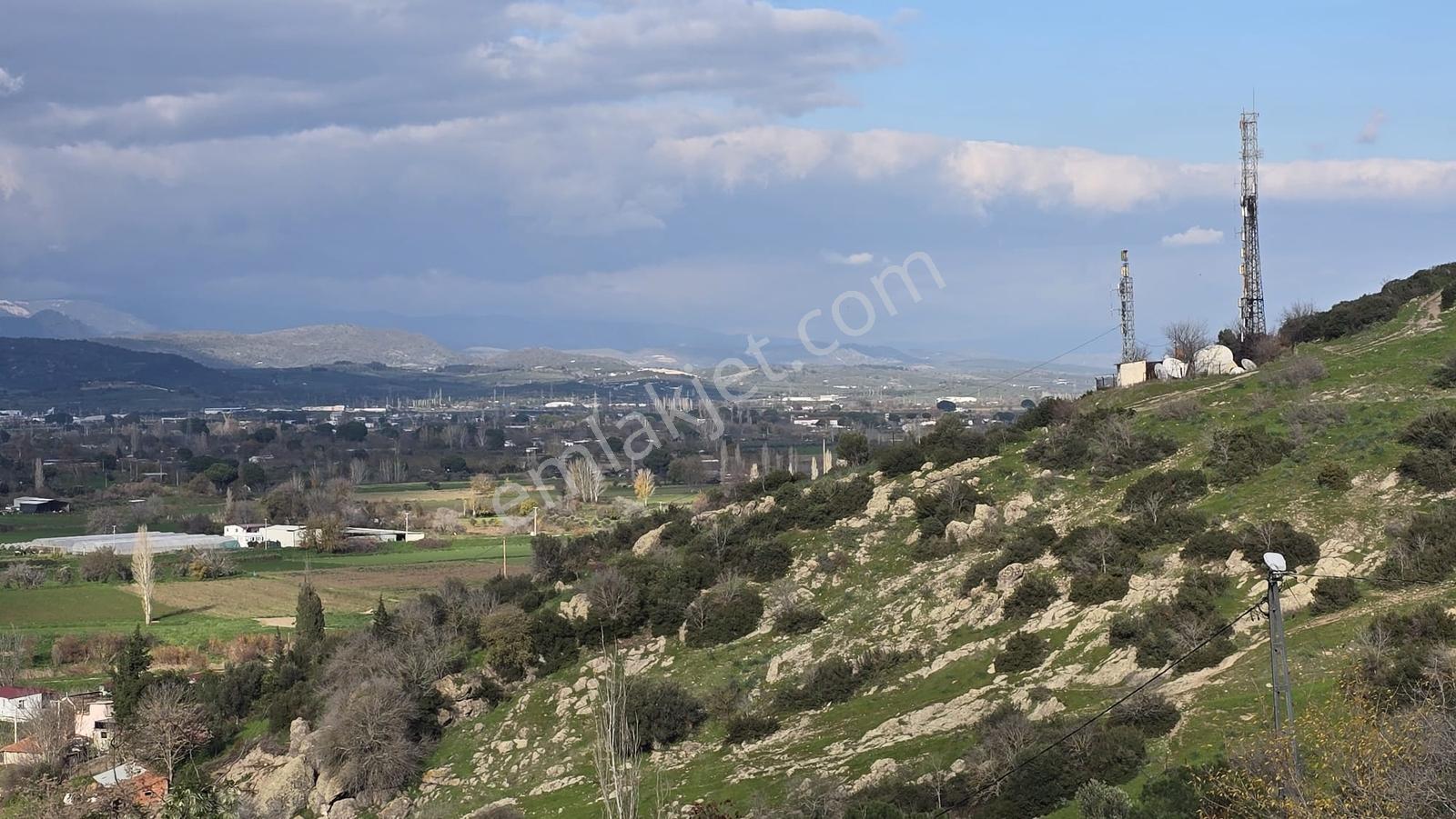 Bergama Sindel Mahallesinde Satılık Zeytinlik - Görsel 8