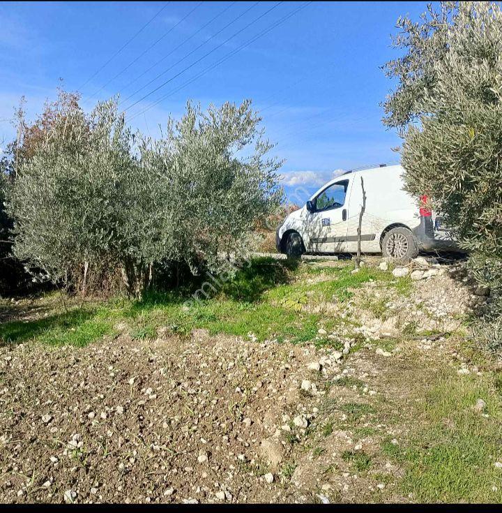 🔥 Ana Yola Sıfır! Su Var – Muğla Seydikemer Yakaköy Mahallesin'de Kaçmaz Yatırımlık 1027 M² Tarla - Görsel 6