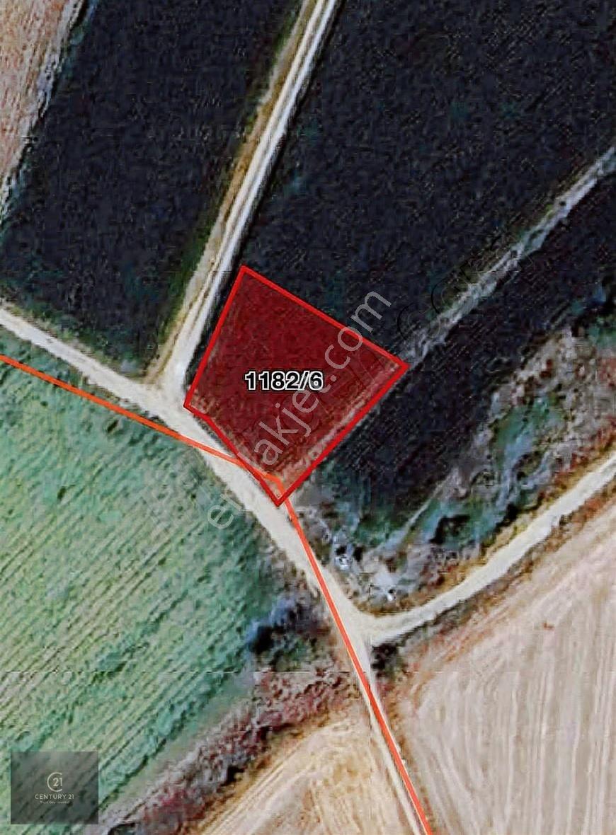 Bursa Mustafa Kemalpaşa Taşköprüde 560 M² Satılık Tarla - Görsel 2