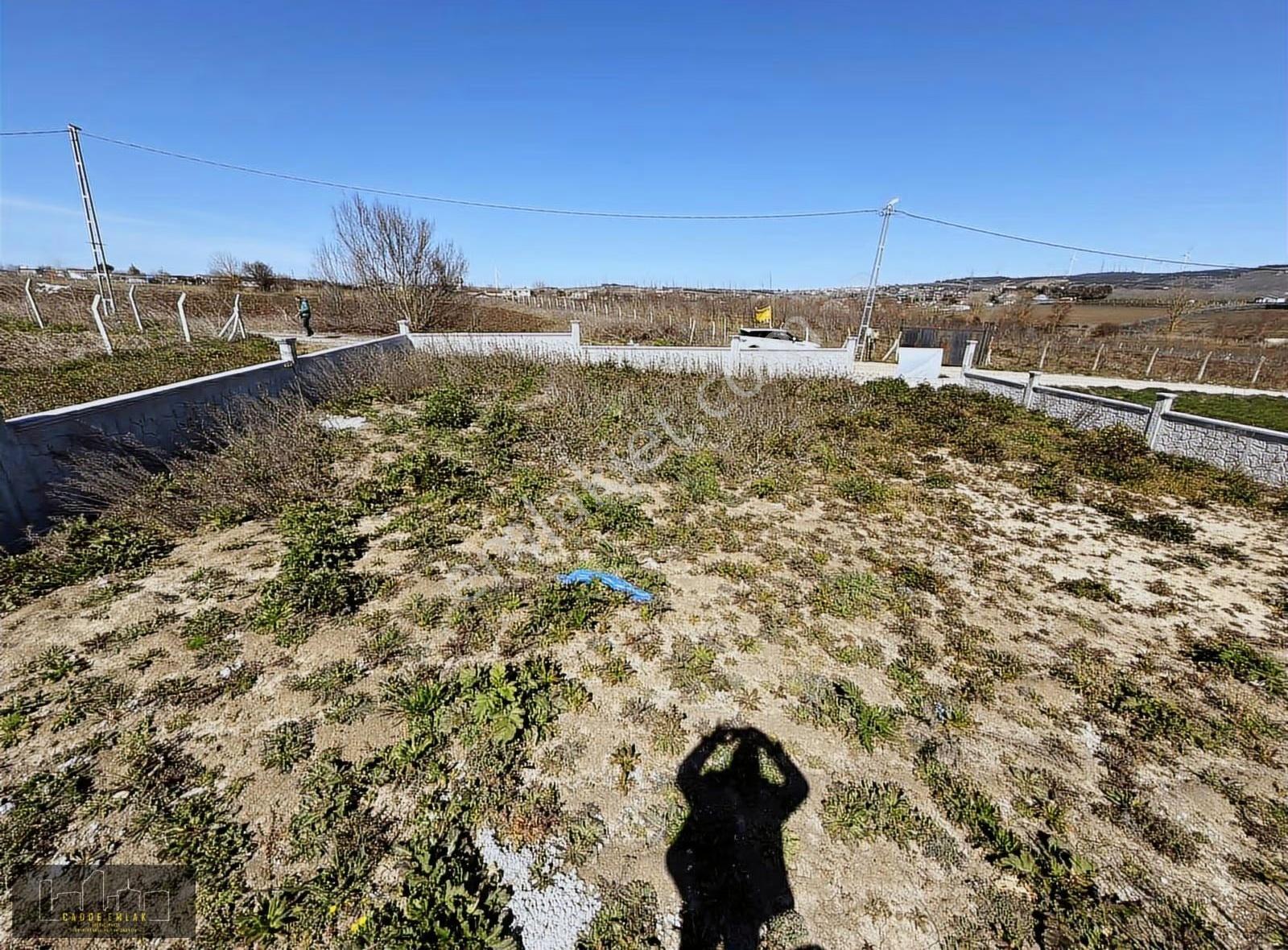 Cadde Emlak Çatalca Ovayenice 500 M2 Elektrik,su Doğalgaz Mevcut - Görsel 11