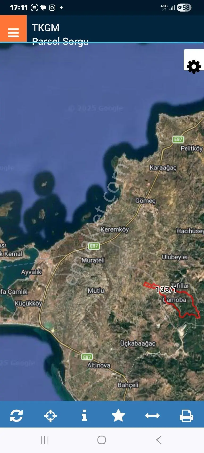 Ayvalık Da Acil Satılık Zeytinlik - Görsel 3