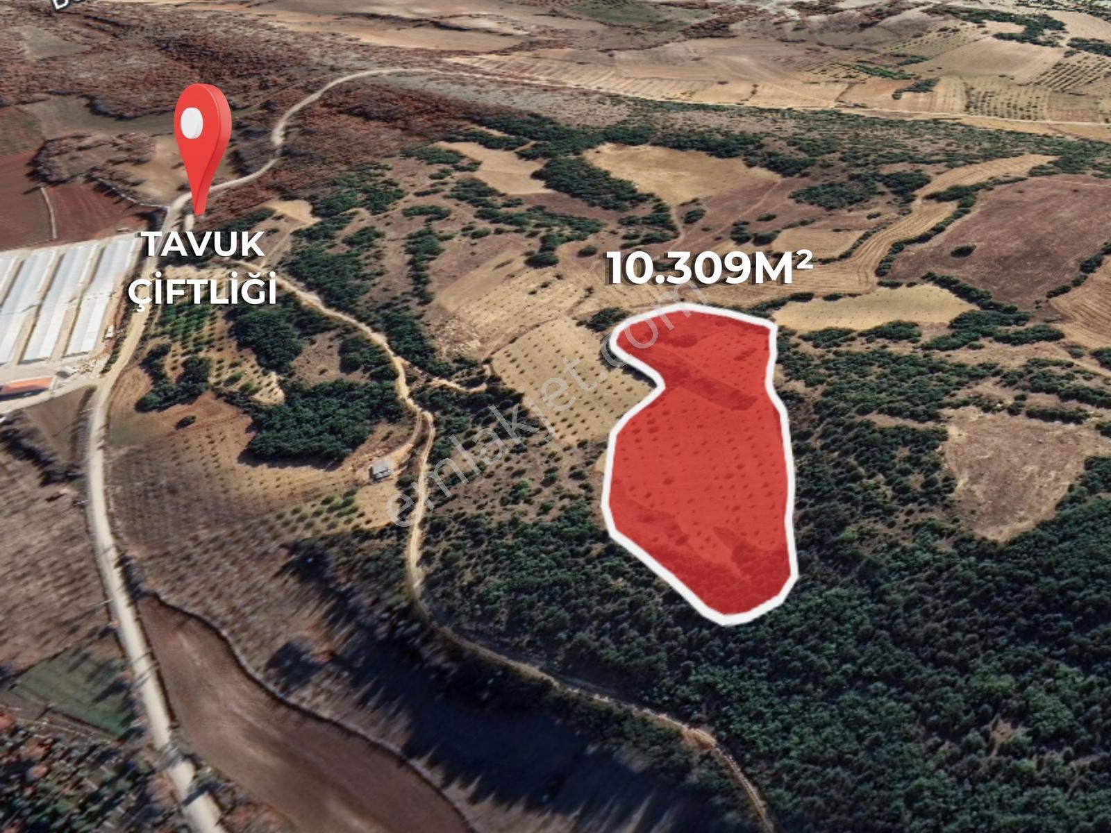 Bilecik Kükürt'te Satılık 8309m² Ekstra Kullanımlı Ceviz Bahçesi - Görsel 6