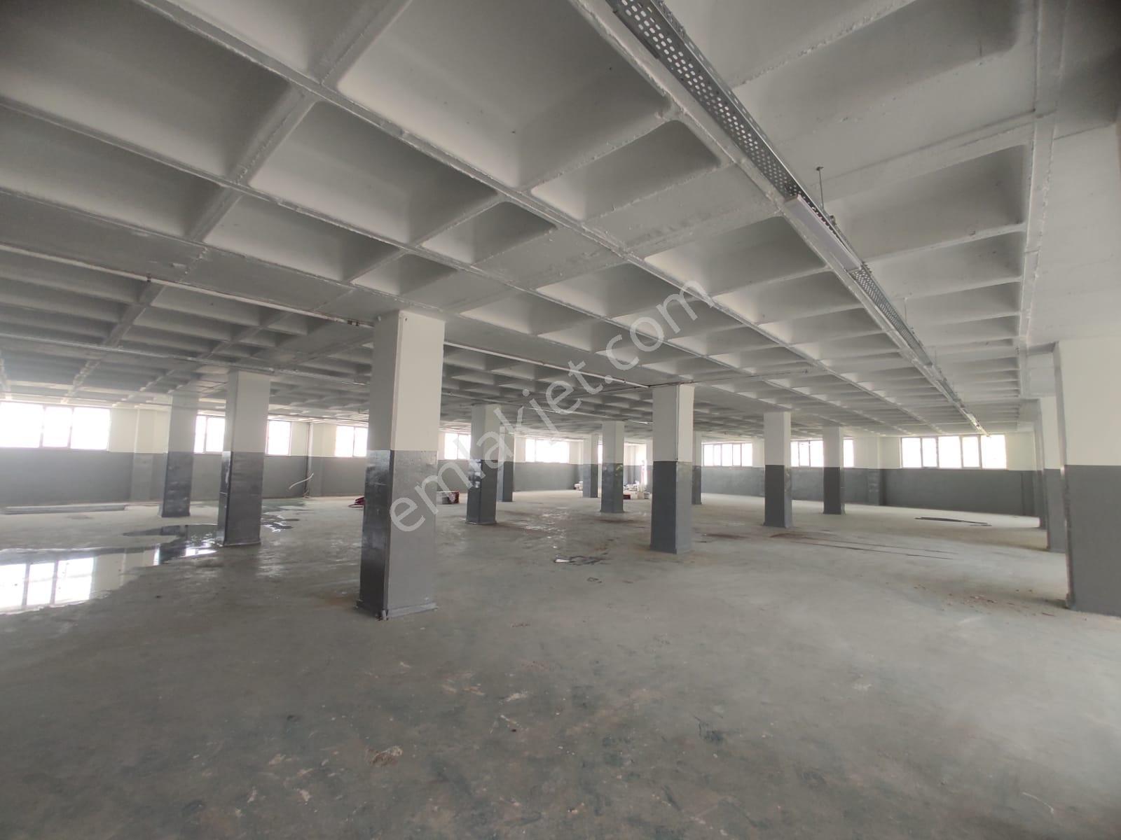 Halkalı Atakentte Kiralık 1000 M² İmalathane / Atölye - Görsel 3