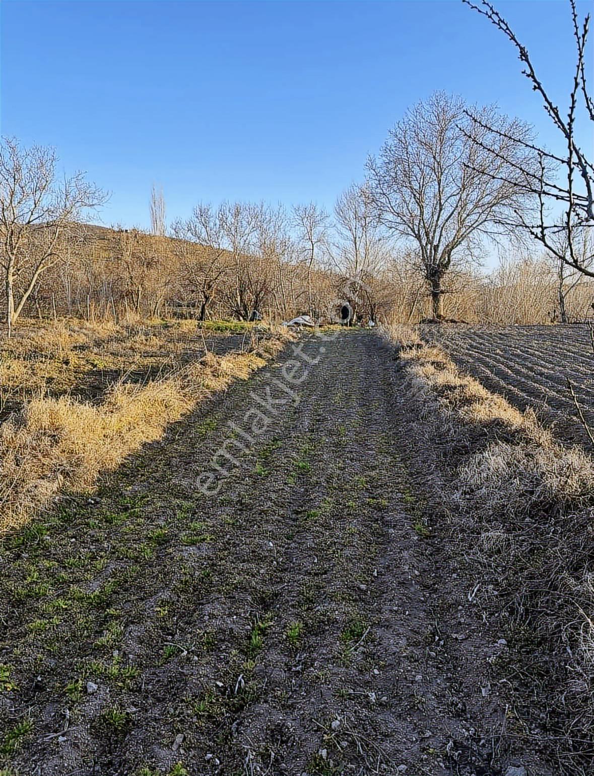 Kızık Ta Düşük Bütçeli 114 M2