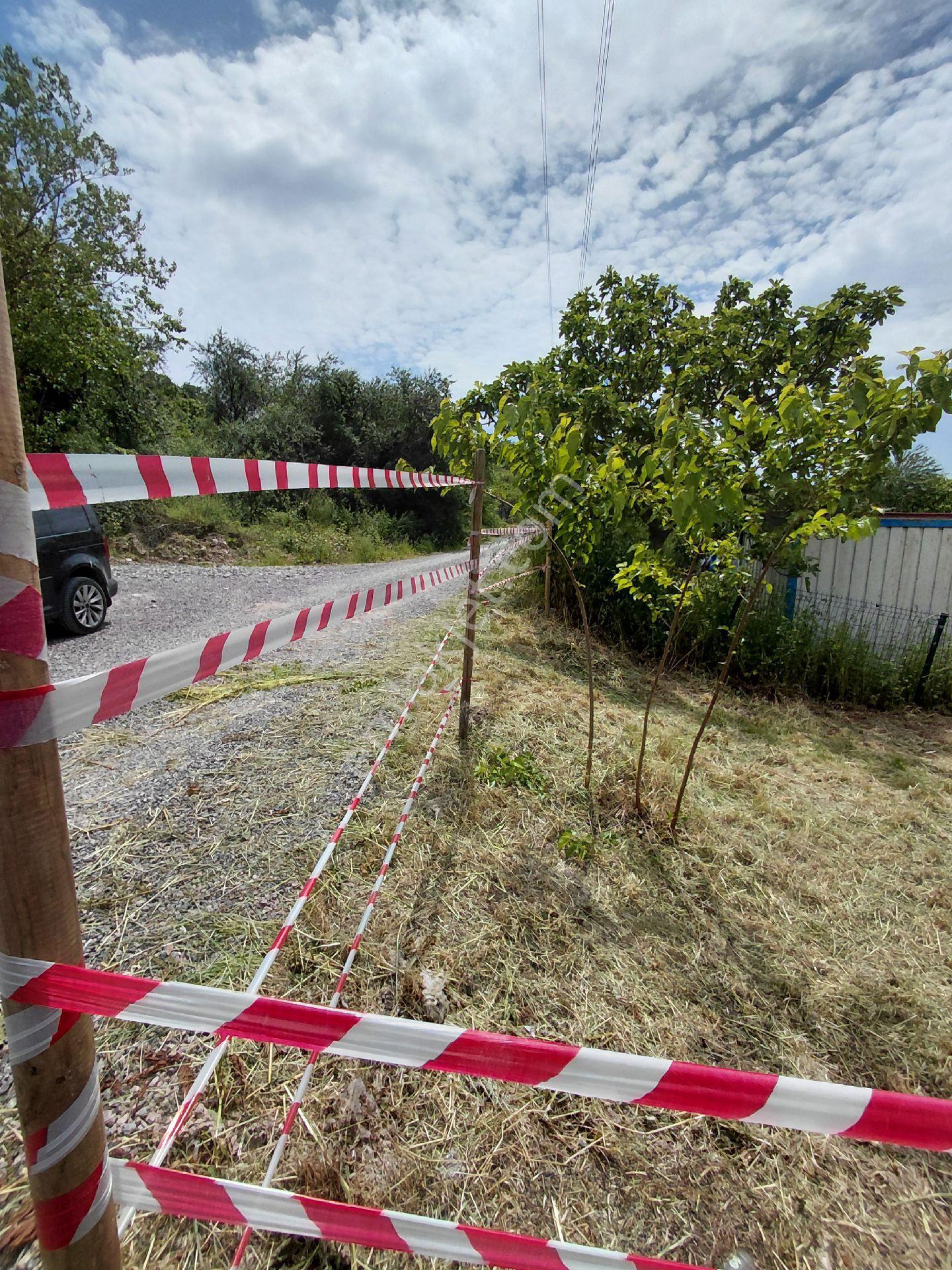 Sahibinden Sakarya Kaynarca Sarıbeyli Köyünde - Görsel 15