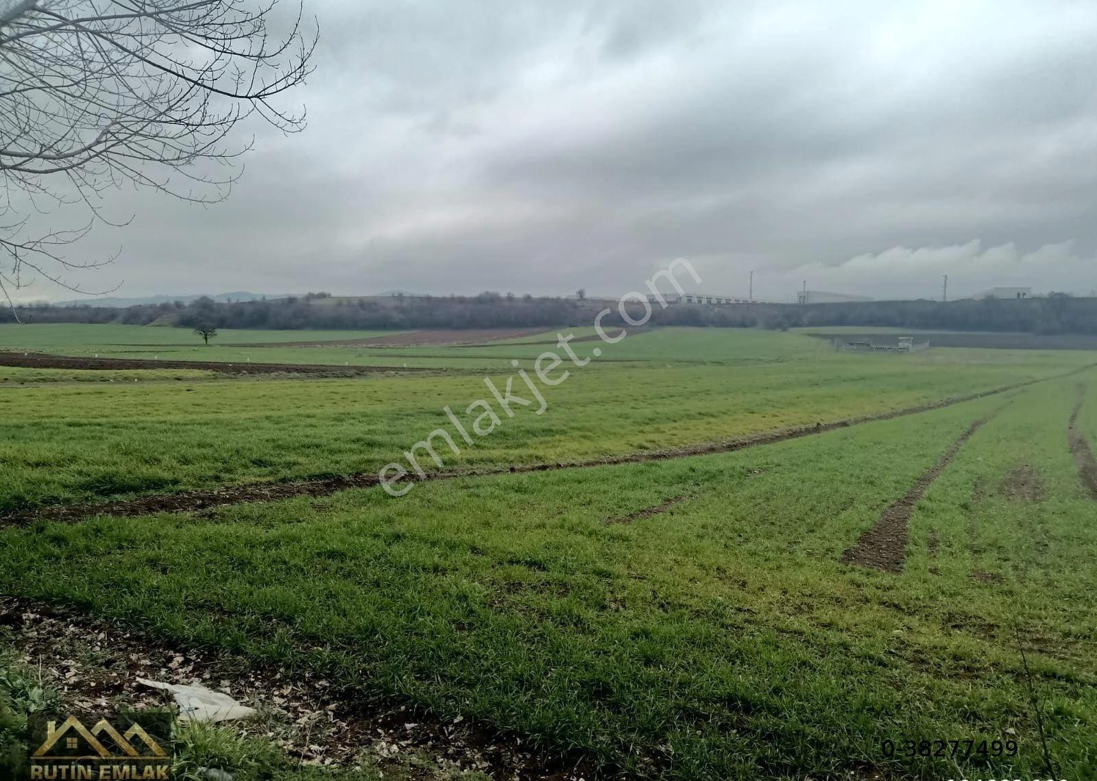 Bolu Merkez Yeniakçakavak Köyü Satılık (9660m2) Tarla - Görsel 7