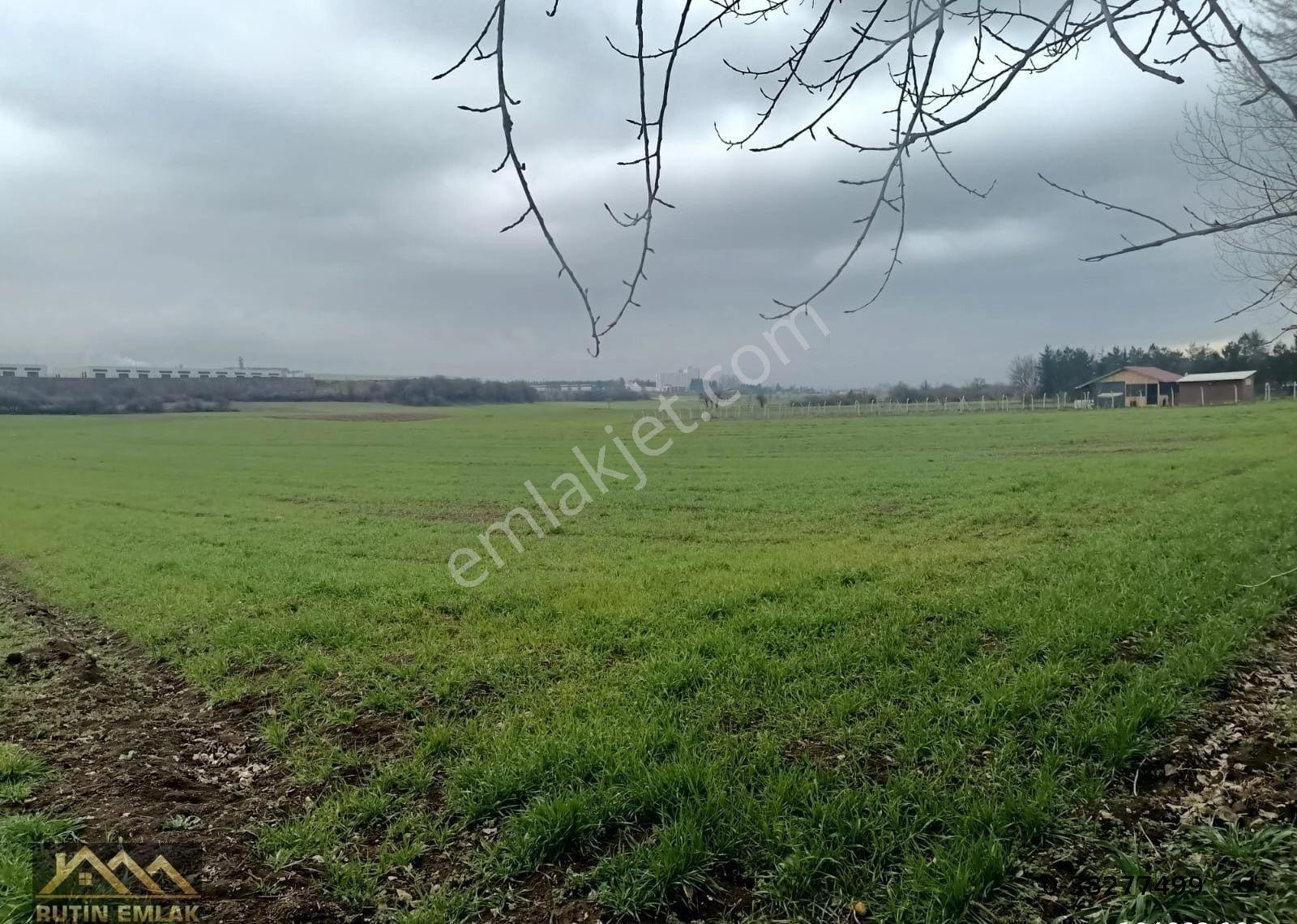 Bolu Merkez Yeniakçakavak Köyü Satılık (9660m2) Tarla - Görsel 9