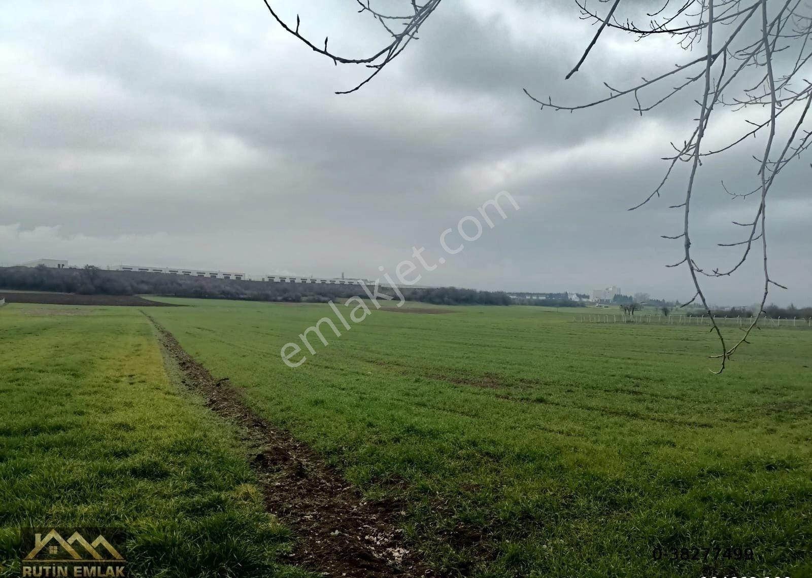 Bolu Merkez Yeniakçakavak Köyü Satılık (9660m2) Tarla - Görsel 4
