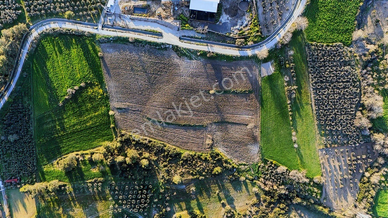 Seydikemerde Tarım Faaliyeti İçin Yatırımlık Tarla - Görsel 11
