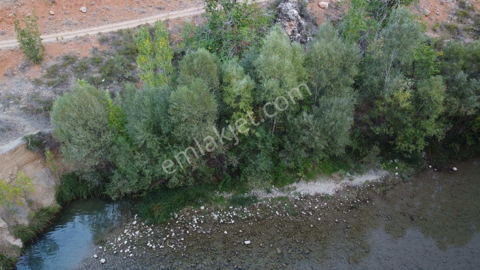 Bulunmaz Nimet Derekenarı Bahçe - Görsel 3