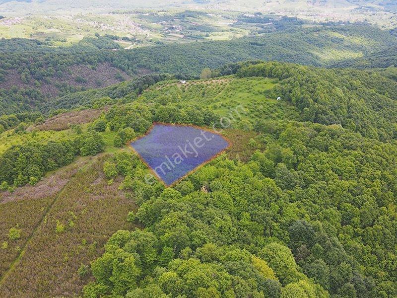 Çelik-ay Gayrimenkul'den Kandıra Teksen Köyü Satılık Tarla - Görsel 2